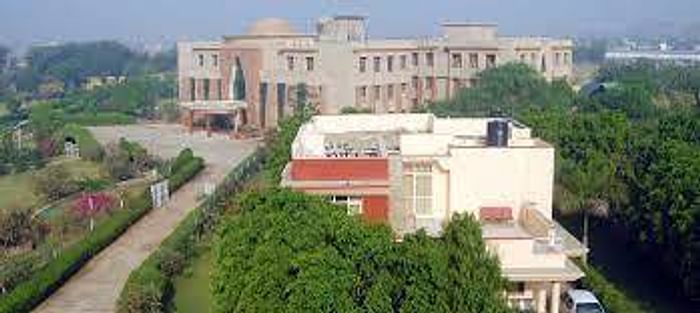 singhania university phd courses